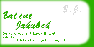 balint jakubek business card